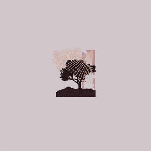 LAND OF TALK - Performances (Vinyle)