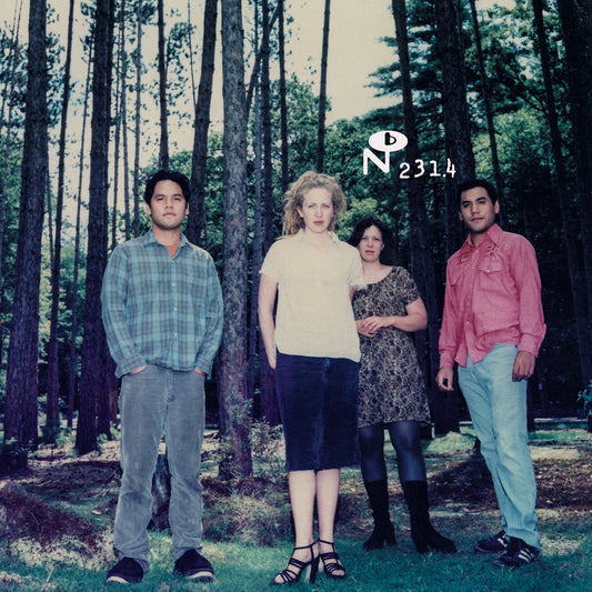 IDA - Will You Find Me (25th anniversary edition) (Vinyle)