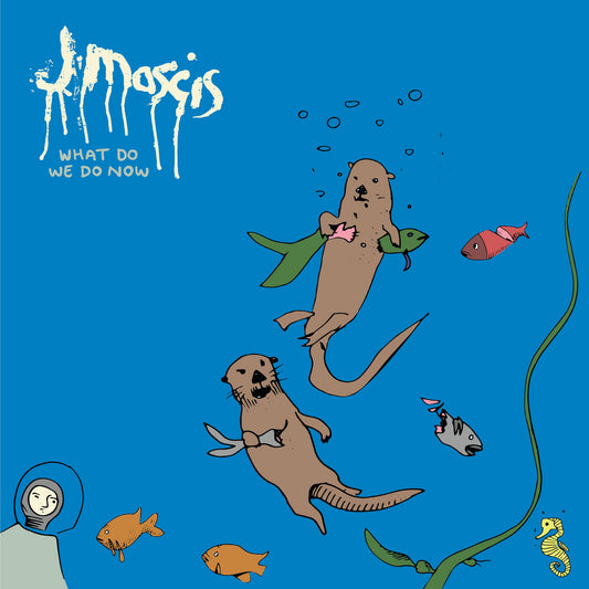 J MASCIS - What Do We Do Now (Vinyle)