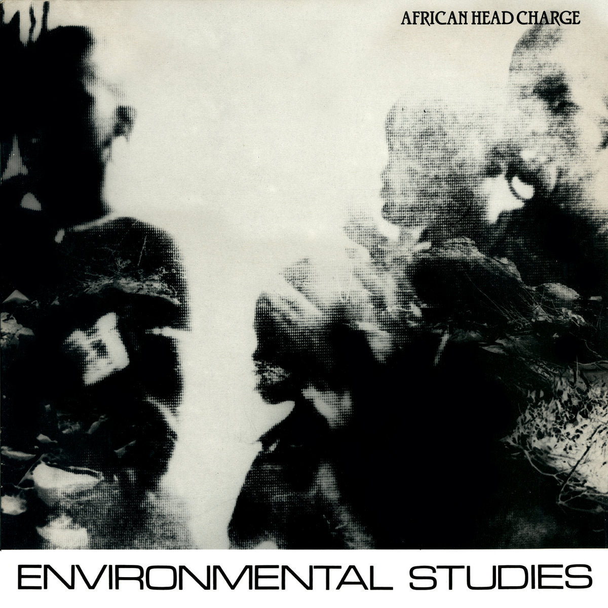 AFRICAN HEAD CHARGE - Environmental Studies (Vinyle)