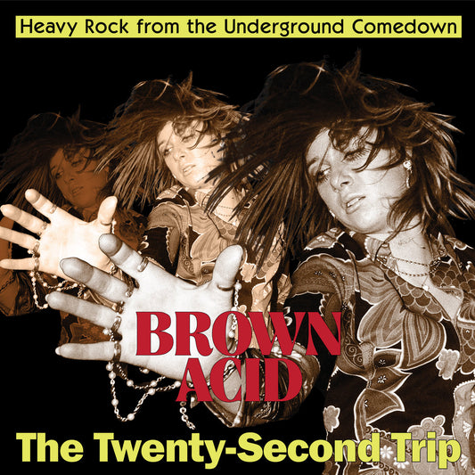 ARTISTES VARIÉS - Brown Acid: The Twenty-Second Trip (Heavy Rock From The Underground Comedown) (Vinyle)