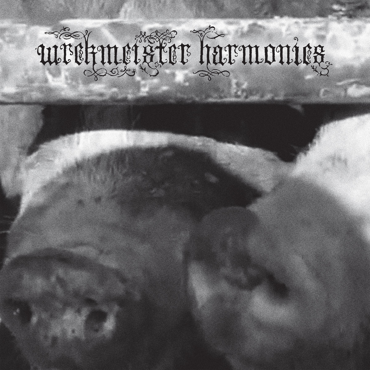 Wrekmeister Harmonies - Flowers in the Spring (Vinyle)