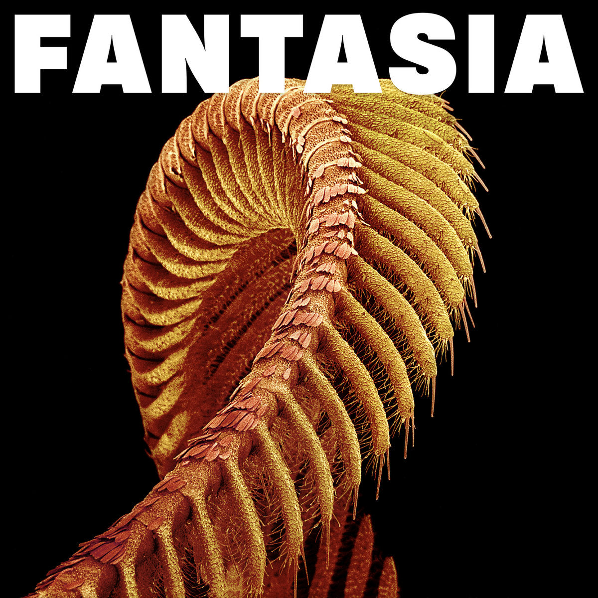 SLIFT - Fantasia (Vinyle) PRÉCOMMANDE