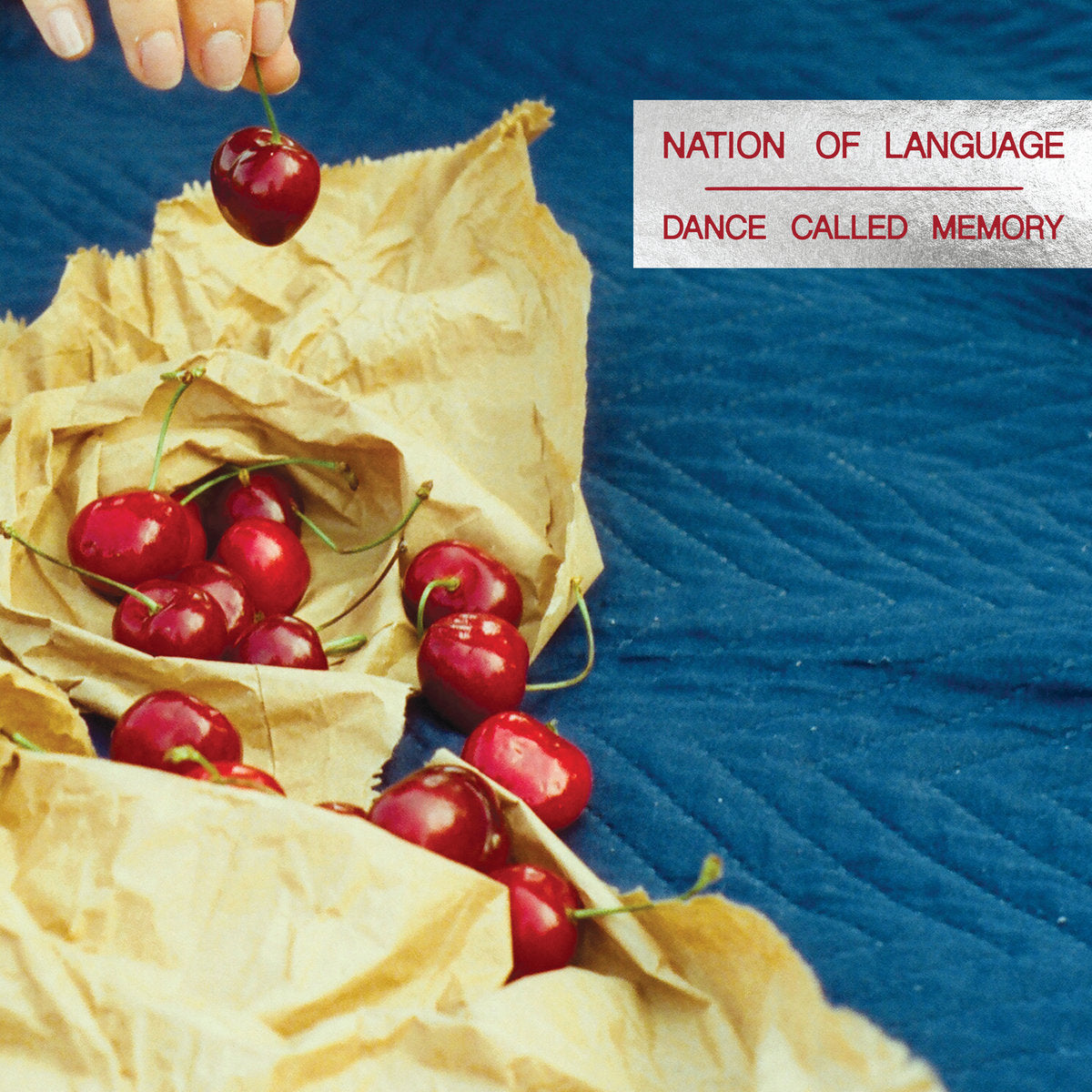 NATION OF LANGUAGE - Dance Called Memory (Vinyle)