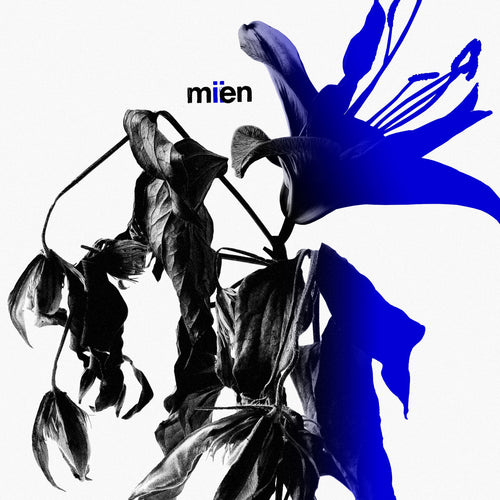 MIEN - Miien (Vinyle)