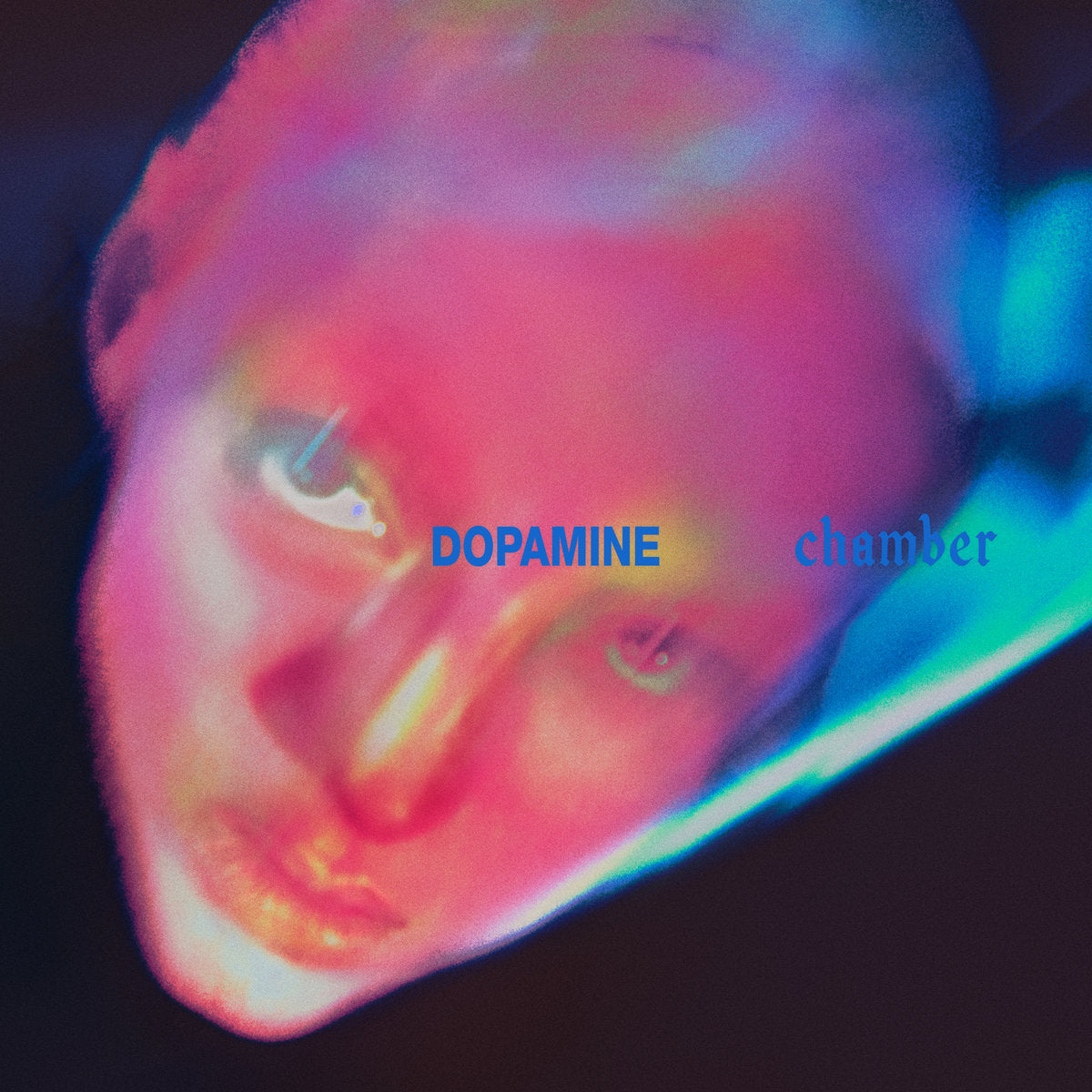 FONTAINES D.C. - Dopamine Chamber (Vinyle) PRÉCOMMANDE (16 octobre)