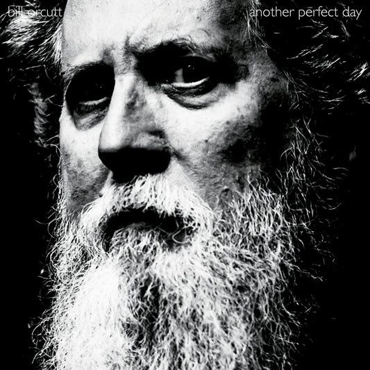 BILL ORCUTT - Another Perfect Day (Vinyle) - Palilalia