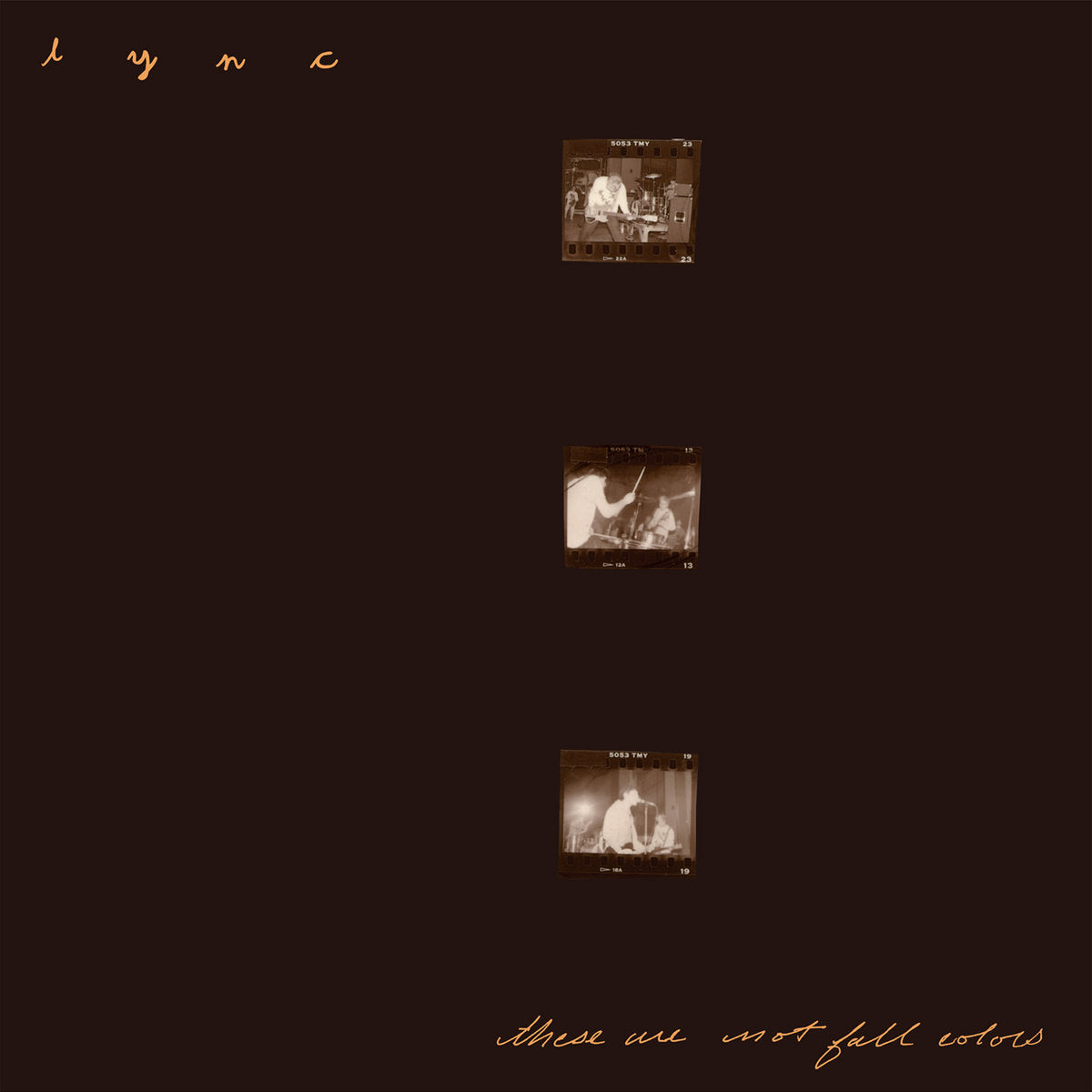 LYNC - These Are Not Fall Colors (Vinyle)