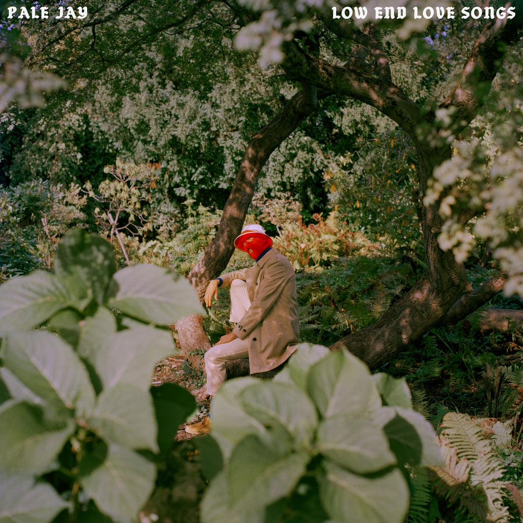 PALE JAY - Low End Love Songs (Vinyle)