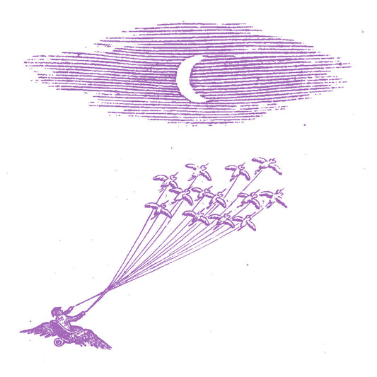 FEELING FIGURES - Migration Magic (Vinyle)
