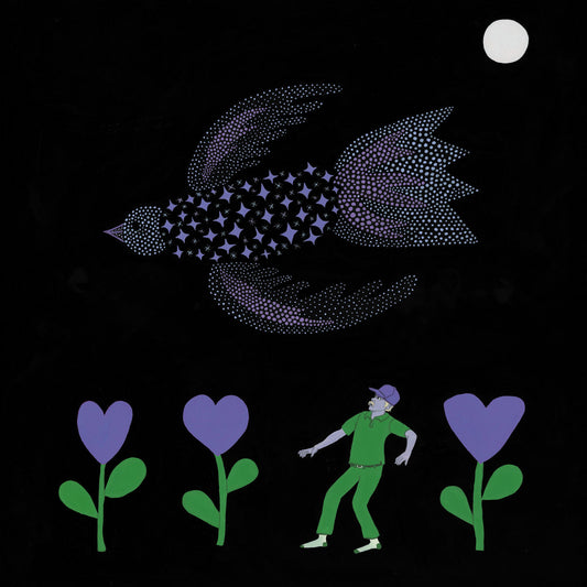 BONNIE PRINCE BILLY - The Purple Bird (Vinyle)