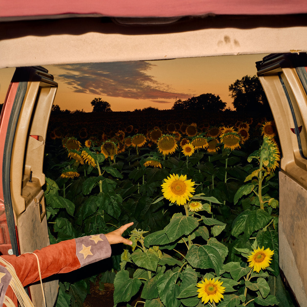 KEVIN MORBY - Little Wide Open (Vinyle) PRÉCOMMANDE - Dead Oceans