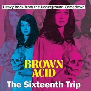 ARTISTES VARIÉS - Brown Acid: The Sixteenth Trip (Vinyle)