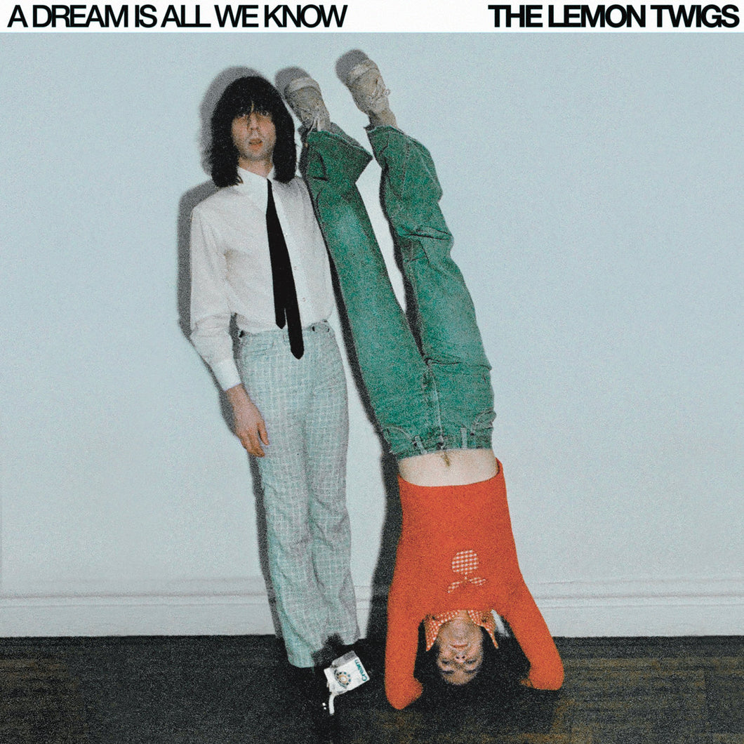 THE LEMON TWIGS - A Dream Is All We Know (Vinyle) PRÉCOMMANDE