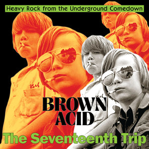 ARTISTES VARIÉS - Brown Acid: The Seventeenth Trip (Heavy Rock From The Underground Comedown) (Vinyle)