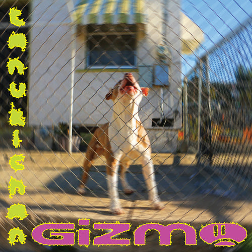 TANUKICHAN - Gizmo (Vinyle)
