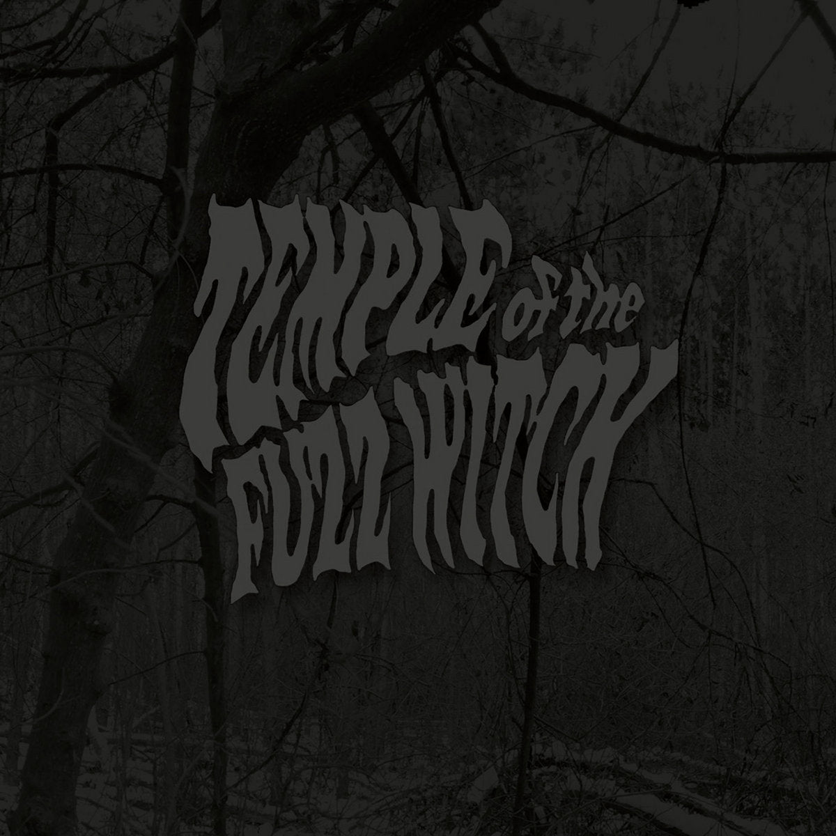 TEMPLE OF THE FUZZ WITCH - Temple Of The Fuzz Witch (Vinyle)