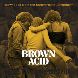 ARTISTES VARIÉS - Brown Acid: The Twentieth Trip (Vinyle)
