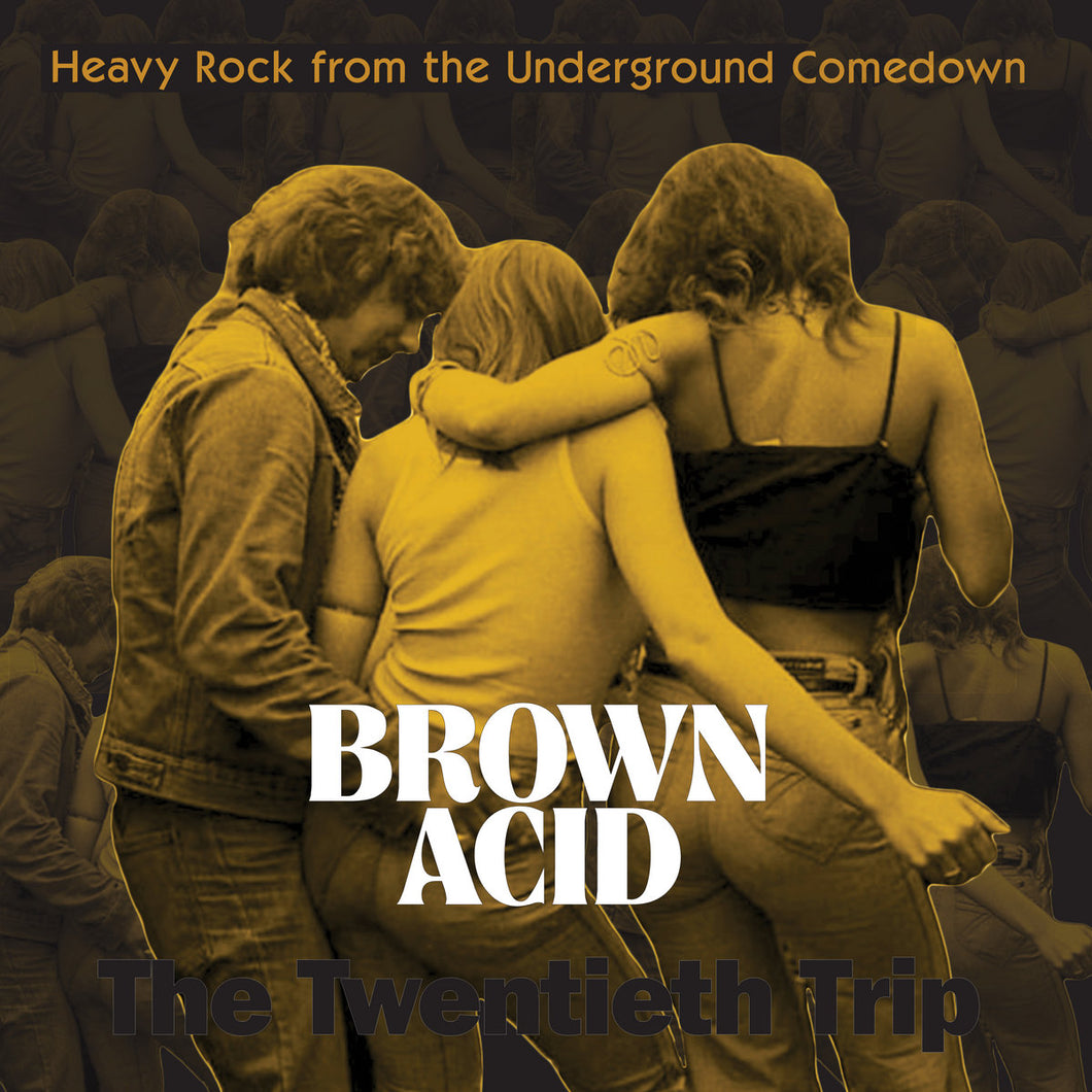 ARTISTES VARIÉS - Brown Acid: The Twentieth Trip (Vinyle)