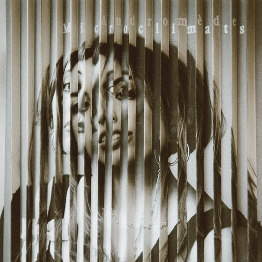 ANDROMÈDE - Microclimats (Vinyle)
