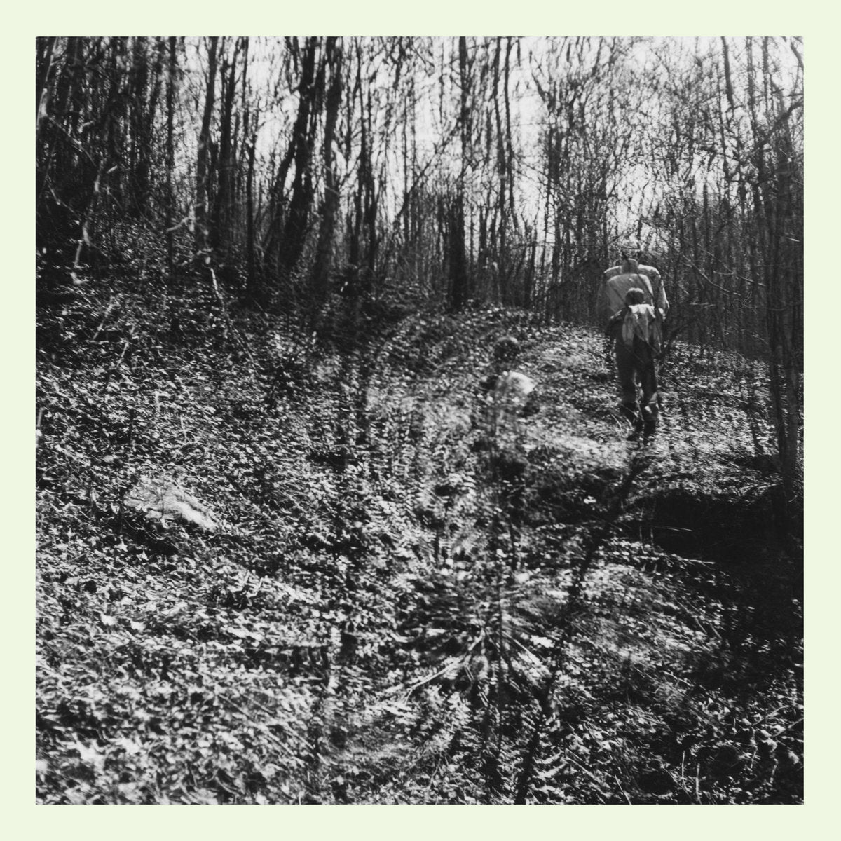 TOPOGRAPHIES - Interior Spring (Vinyle)