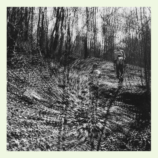 TOPOGRAPHIES - Interior Spring (Vinyle)