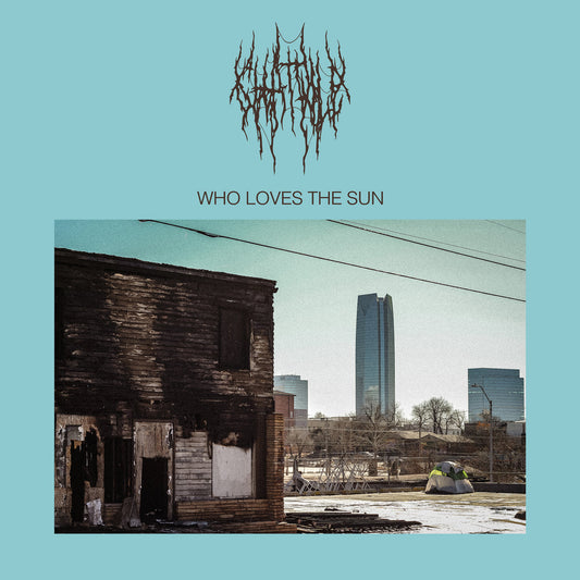 CHAT PILE - Who Loves The Sun (Vinyle) PRÉCOMMANDE (4 septembre)