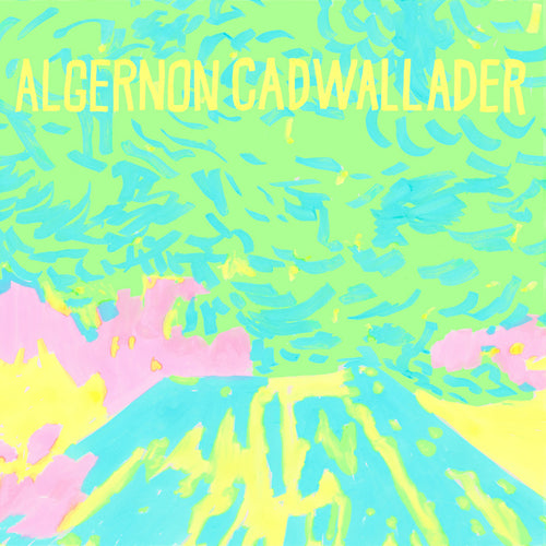 ALGERNON CADWALLADER - Trying Not to Have a Thought (Vinyle) PRÉCOMMANDE