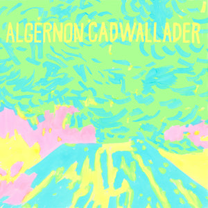 ALGERNON CADWALLADER - Trying Not to Have a Thought (Vinyle) PRÉCOMMANDE