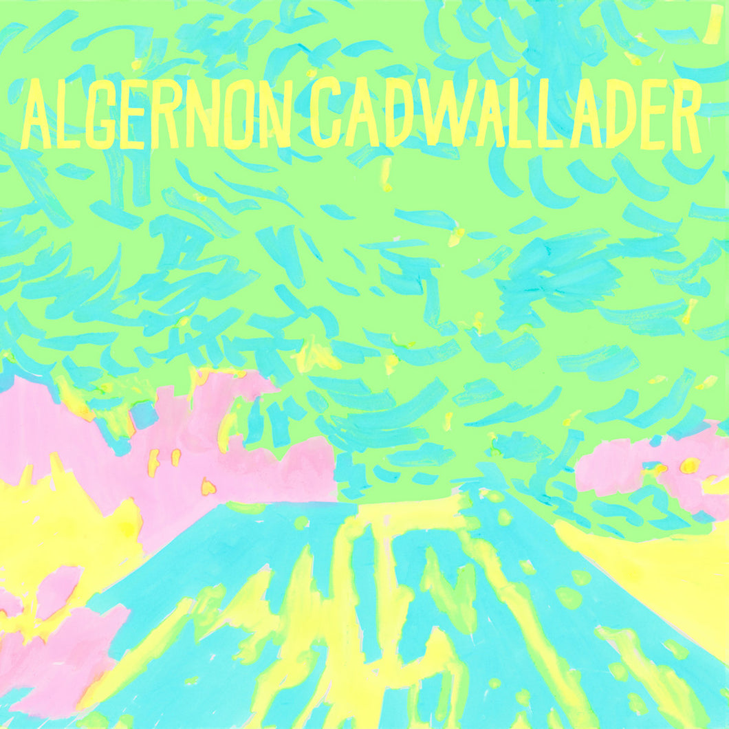 ALGERNON CADWALLADER - Trying Not to Have a Thought (Vinyle) PRÉCOMMANDE