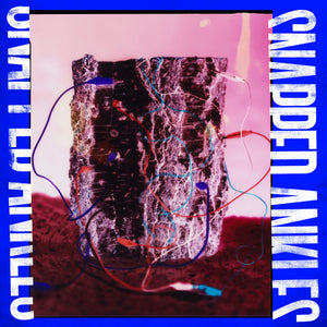 SNAPPED ANKLES - Forest Of Your Problems (Vinyle)