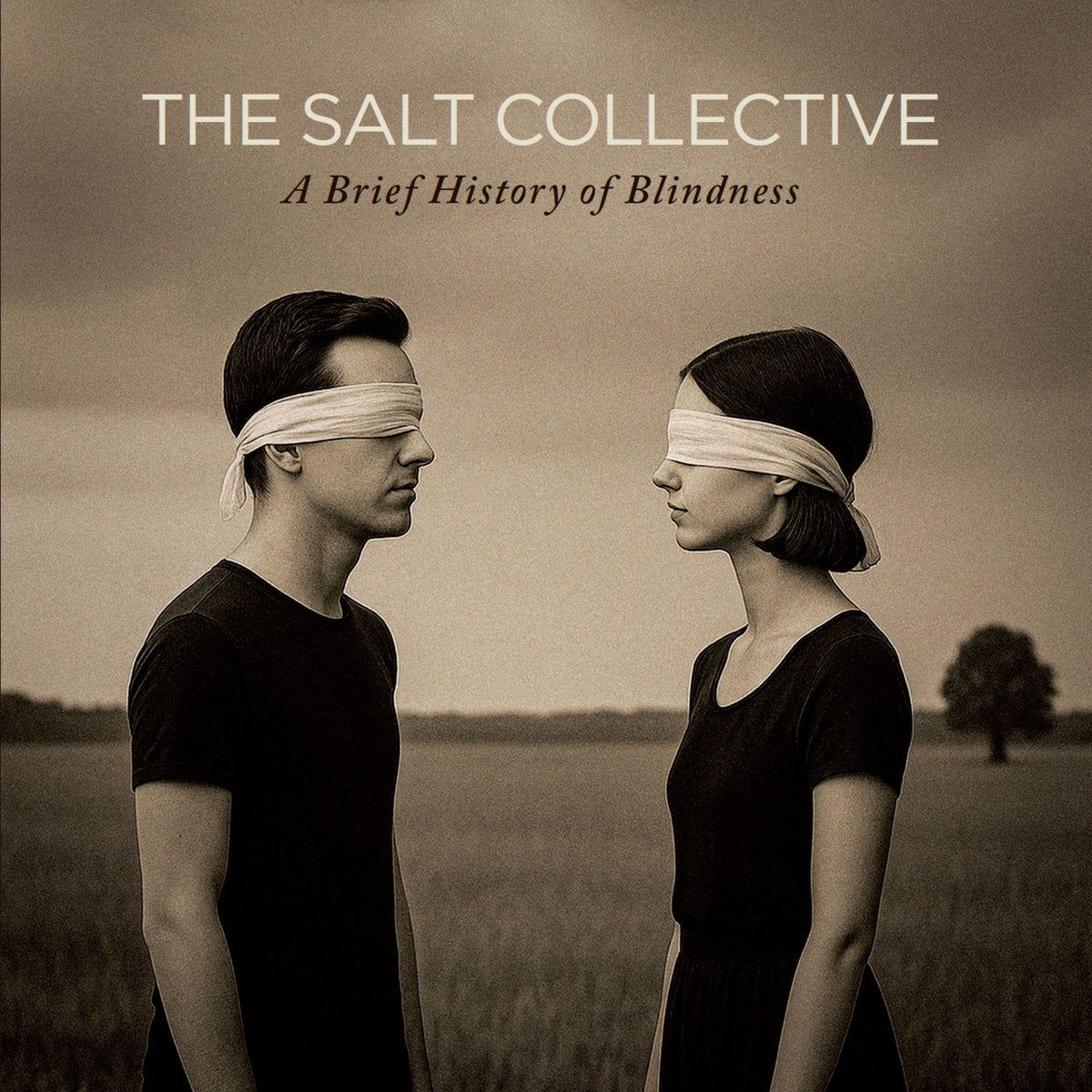 THE SALT COLLECTIVE - A Brief History of Blindness (Vinyle)