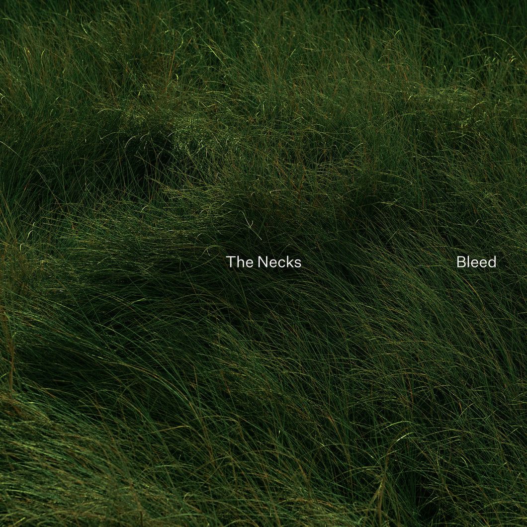 THE NECKS - Bleed (Vinyle)