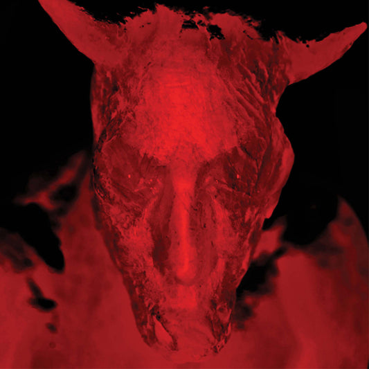 DIAMANDA GALÁS - Broken Gargoyles (Vinyle)