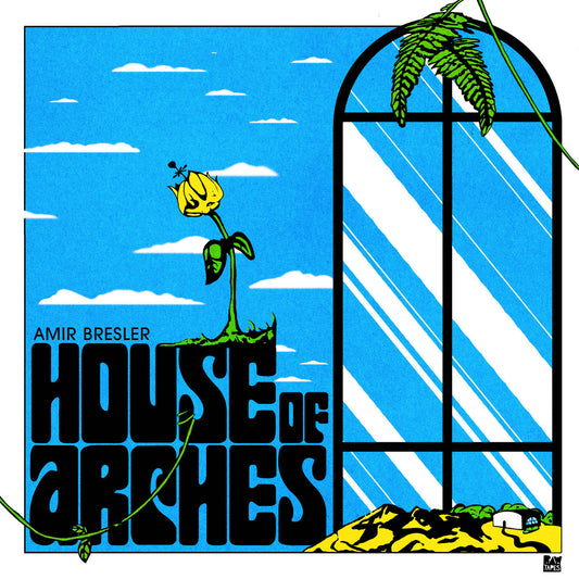 AMIR BRESLER - House of Arches (Vinyle)