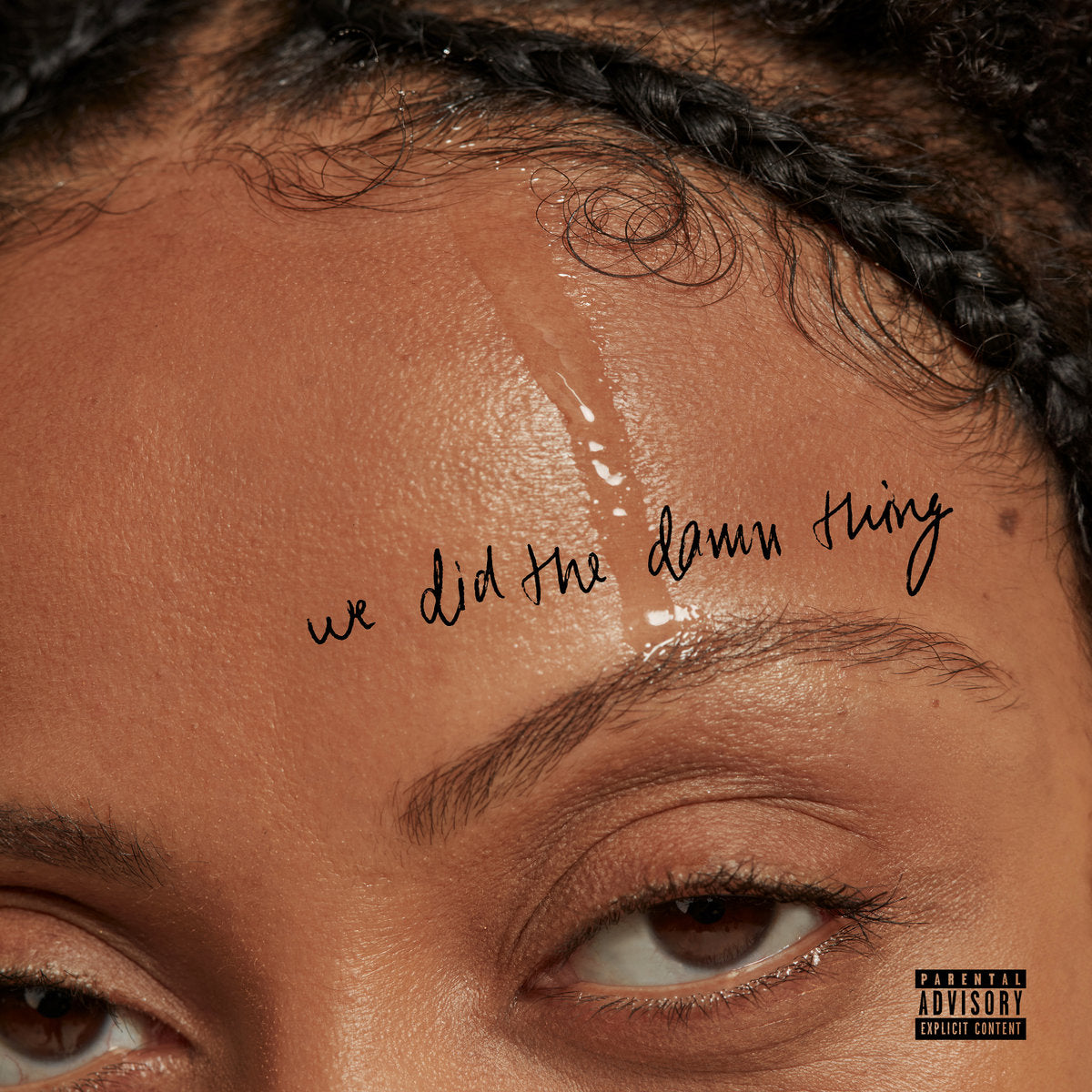 NAYA ALI - We Did The Damn Thing (Vinyle)