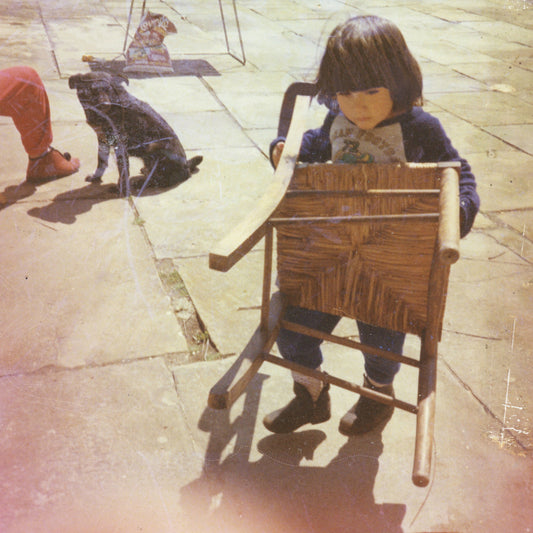 SOL HESS - Waiting For The Cricket Choir (Vinyle)