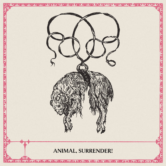 ANIMAL, SURRENDER! - Animal, Surrender! (Vinyle)