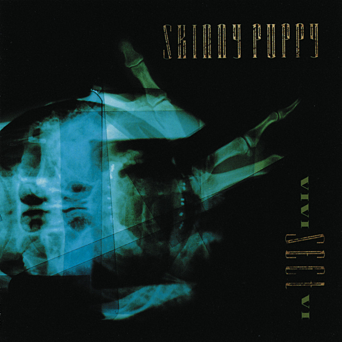 SKINNY PUPPY - VIVIsectVI (Vinyle)