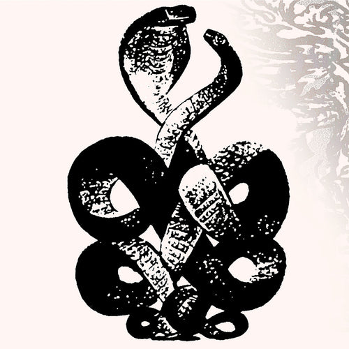 BARDO POND - Volume 4 & 5 (Vinyle) PRÉCOMMANDE