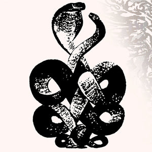 BARDO POND - Volume 4 & 5 (Vinyle) PRÉCOMMANDE