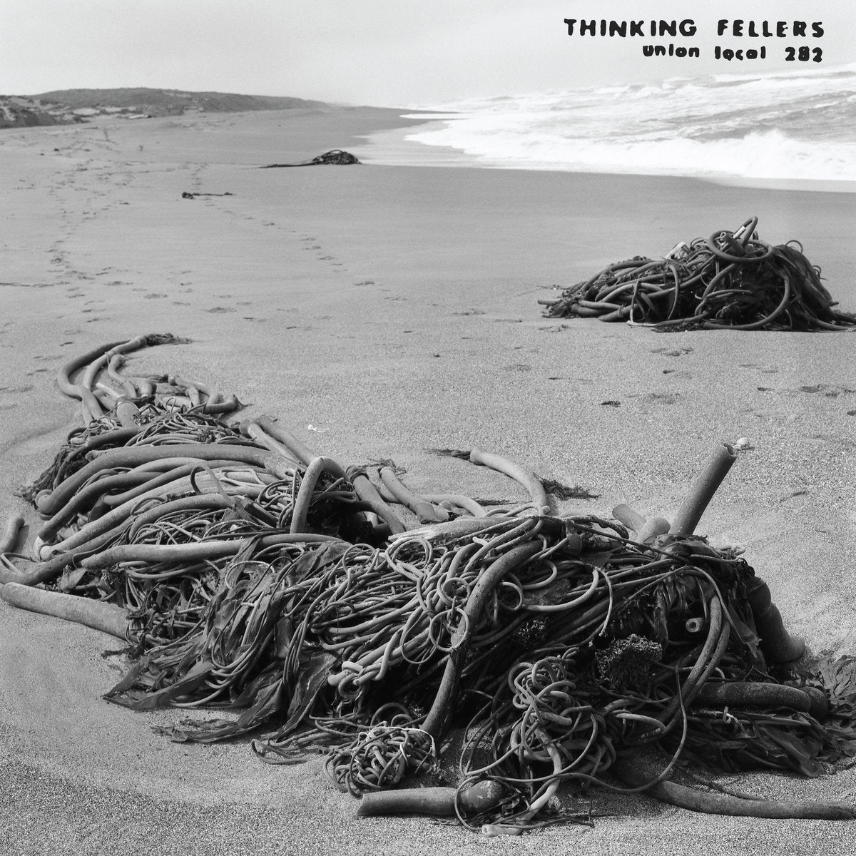 THINKING FELLERS UNION LOCAL 282 - Tangle (Vinyle)