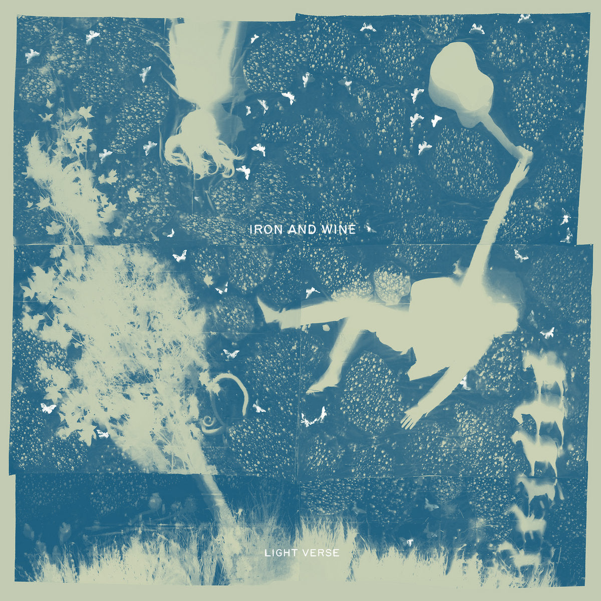 IRON & WINE - Light Verse (Vinyle)