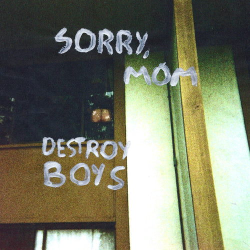 DESTROY BOYS - Sorry, Mom (Vinyle)