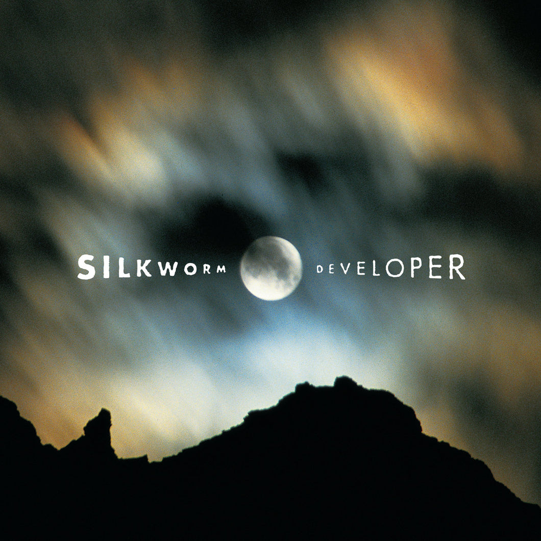 SILKWORM - Developer (Vinyle)