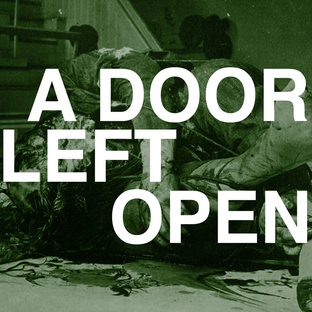 ORTHODOX - A Door Left Open (Vinyle)