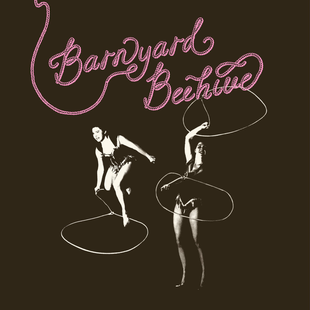 ARTISTES VARIÉS - Barnyard Beehive (Vinyle)