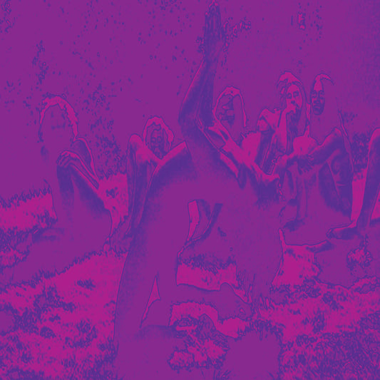 BARDO POND, ACID MOTHERS TEMPLE & GURU GURU - Acid Guru Pond (Vinyle)
