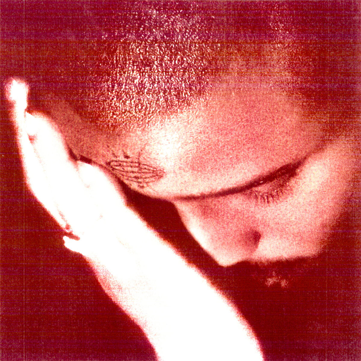 NOURISHED BY TIME - The Passionate Ones (Vinyle)