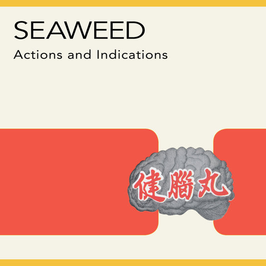 SEAWEED - Actions And Indications (Vinyle)